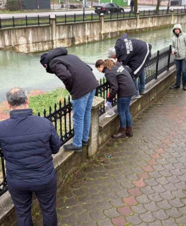 Uludere Çayı’nda binlerce ölü balık bulundu: Ekipler seferber oldu