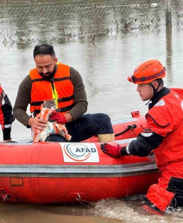 AFAD mahsur kalan hayvanları tahliye ediyor