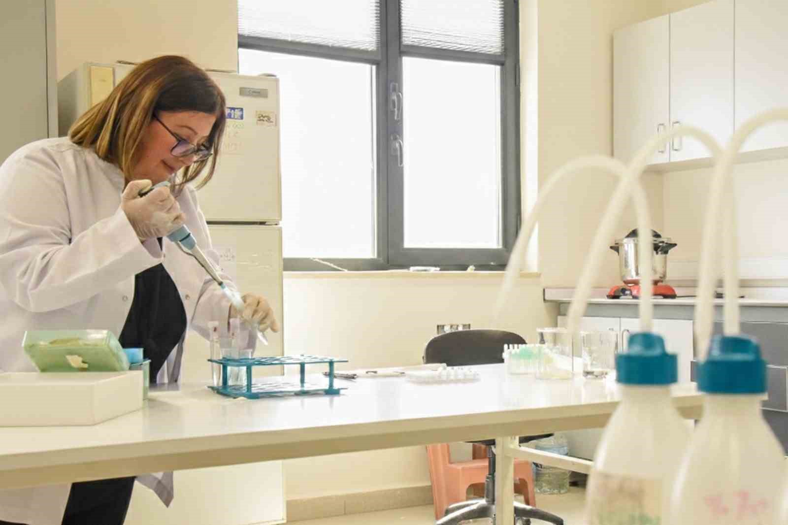 BŞEÜ’den dünyanın en saygın dergilerinden Food Chemıstry’de bir yayın daha