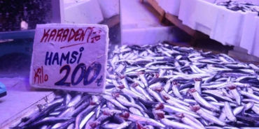 Hamsi tezgahlardaki tahtına yeniden oturdu