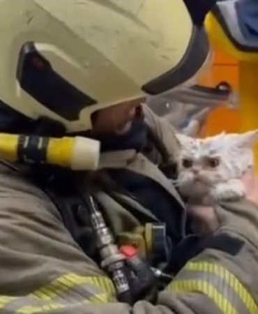 Fatih’te metruk binada çıkan yangın yanındaki ahşap binaya sıçradı: Bir kedi kurtarıldı