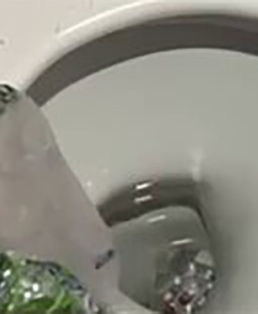 Uyuşturucu çetesine darbe: 1’i avukat 3 kişi tutuklandı