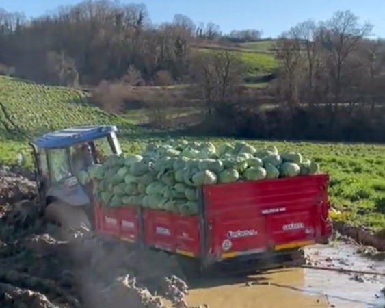 Çiftçinin zor anları