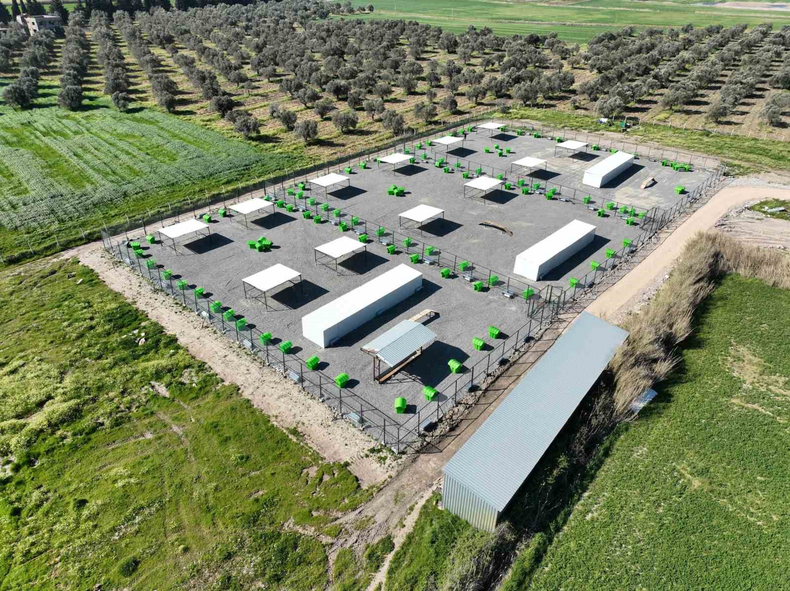 Edremit’te can dostlar için doğal yaşam alanı açılıyor