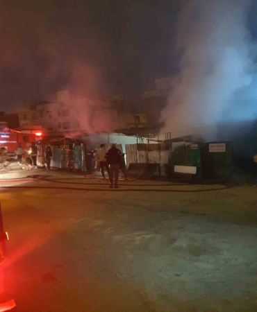 Çiftlik, alevlere teslim oldu