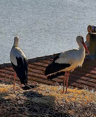 Beklenen buluşma gerçekleşti