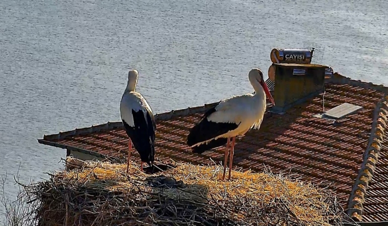 Beklenen buluşma gerçekleşti