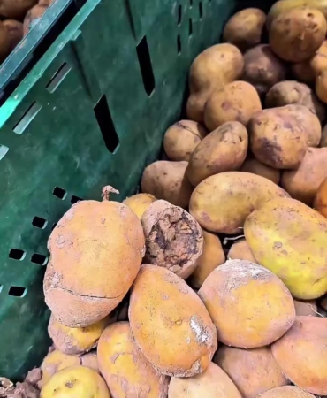 Market raflarında tarihi geçmiş tavuk ve içecek alarmı