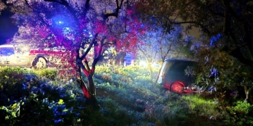 Mudanya’da kazadan kaçan sürücü zeytinliğe daldı