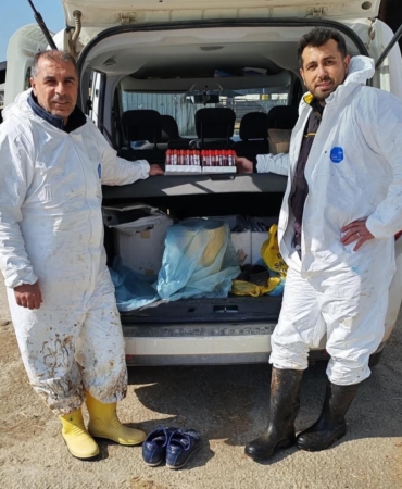 Ari işletmede tüberküloz ve brusella testi yapıldı