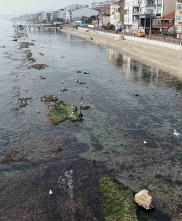 Tekirdağ deniz çekildi ’Kral yolu’ ortaya çıktı
