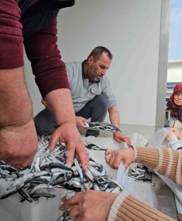 1 ton hamsi 15 dakika da tükendi