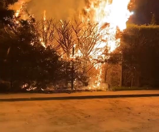 Sebepsiz yere ateşe verilen ağaç itfaiyeyi harekete geçirdi