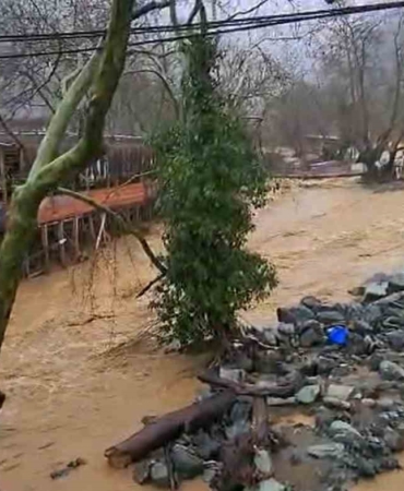 Yalova’da sağanak yağışta dereler taştı, 5 büyükbaş hayvan telef oldu