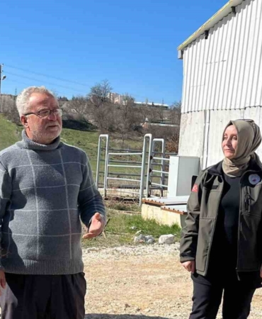 Müdür Ayvalık, üreticilerle tarım ve hayvancılığı inceledi