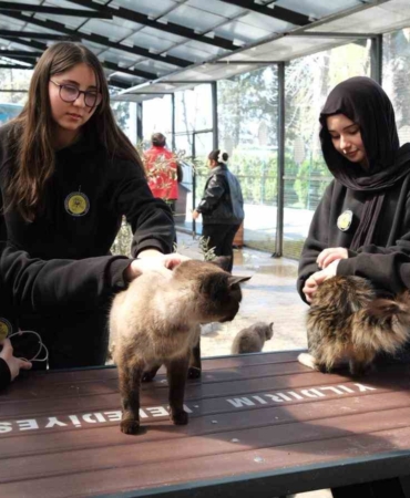 Gençerlerden patili canlara ziyaret