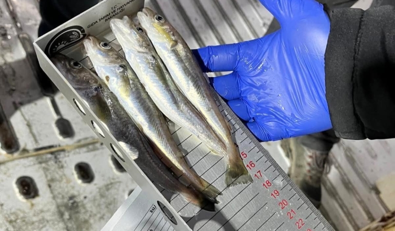 Kırklareli’nde su ürünleri nakil araçlarına sıkı denetim