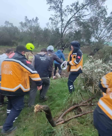 Balıkesir’de kontrolden çıkan otomobil zeytinliğe savruldu: 1 yaralı