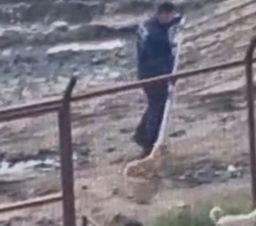 Sakarya Valiliğinden iki ilçedeki barınak görüntülerine ilişkin açıklama