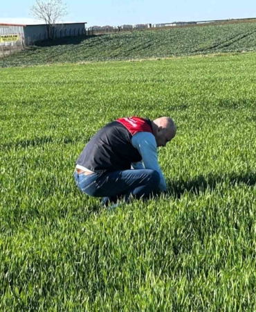 Kırklareli’de tarım arazilerinde denetim: Kanola ve hububat ekilişleri incelendi