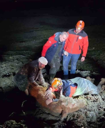 Yalova’da bataklıkta mahsur kalan vatandaş ve büyükbaş hayvanı kurtarıldı