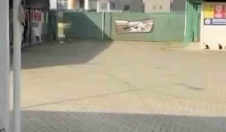 Gemlik Belediyesinin Umurbey’deki barınağını önünde toplanan hayvanseverler içeriye alınmadı