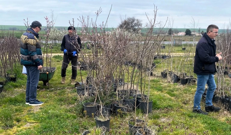 Lüleburgaz’da fidan satış noktalarına denetim