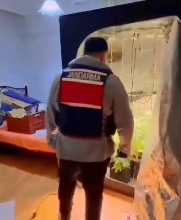 Yalova’da evinde uyuşturucu yetiştiren şüpheli yakalandı