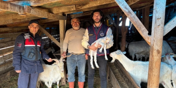 Kaybolan 50 küçükbaş hayvan dron destekli aramayla bulundu