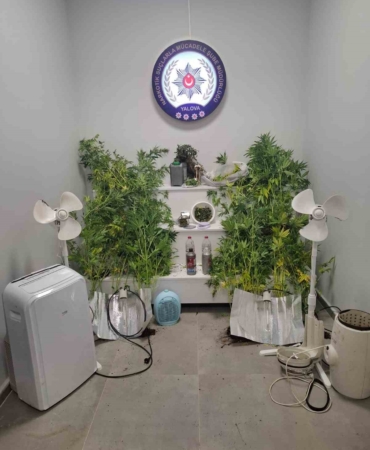 Yalova’da saklandığı evde uyuşturucu yetiştiren hükümlü yakalandı