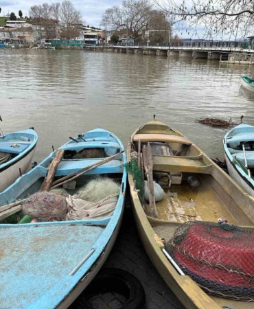 İstilacı İsrail sazanları balıkçılara gelir kaynağı oldu