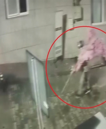 ‘Bir kafeden daha fazlası’ yazısını fark etti, ağacı sırtlayıp gitti O anlar kamerada