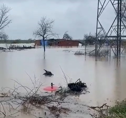 Sağanak Bursa’yı vurdu: Tarlalar göle döndü, hayvanlar mahsur kaldı