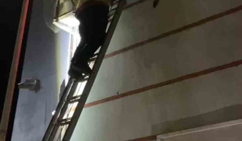 Klima motoruna sıkışan yavru kedi kurtarıldı