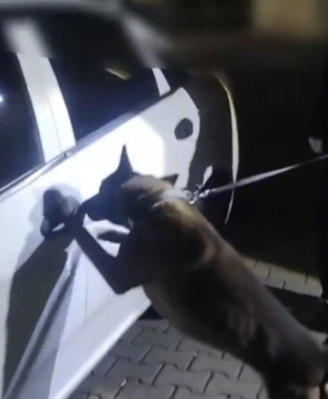 İstanbul’dan takibe alındılar, Sakarya’da yakalandılar: 2 kişi tutuklandı