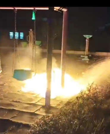 Çocukların yaktığı ateş parkı alev topuna çevirdi