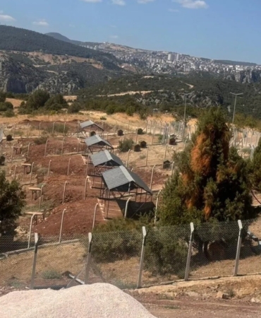 Milyonluk Sokak Hayvanları Doğal Yaşam Alanı ortada kaldı