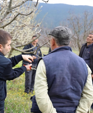Bilecik’te üreticilere gübreleme ve budama kursu