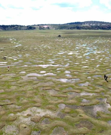 Doğanın sanata dönüştüğü nokta: Menderesler göz kamaştırdı