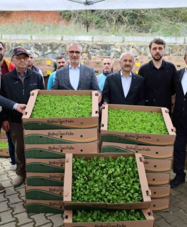 İşlenmeyen araziler üretime dönüyor: Çiftçilere yüzde 75 hibeli fide desteği