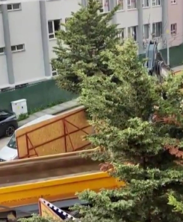 Üsküdar Belediyesi’nin ruhsat verdiği inşaat alanında ağaçlar kesildi