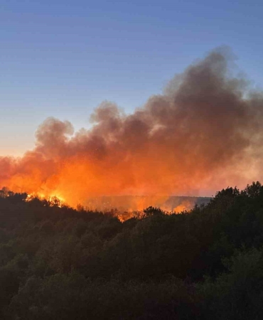 Beykoz’da 3 hektarlık alan küle döndü: Yangına müdahale devam ediyor