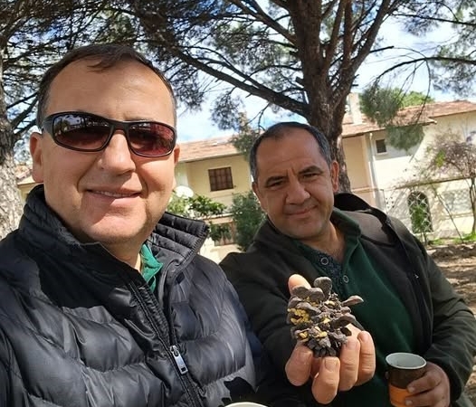 Türkiye çam balı üretiminde dünya birincisi