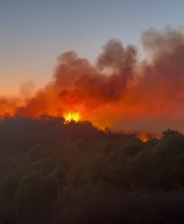 Beykoz’daki yangını söndürme çalışmaları devam ediyor