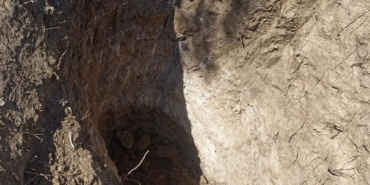 Tekirdağ’da mezarlıkta define aradılar