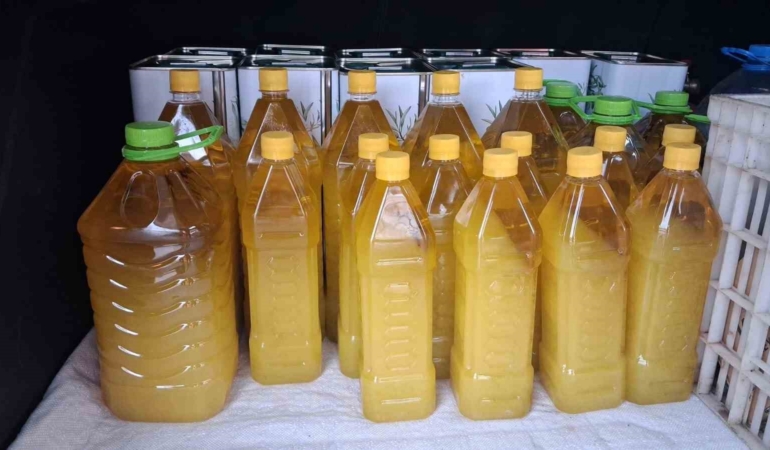 Şarköy zeytinyağına coğrafi işaret