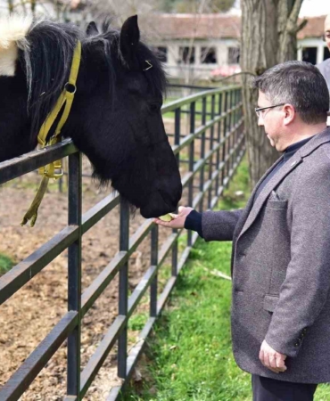 İlk tüp tay Balat 2 yaşında