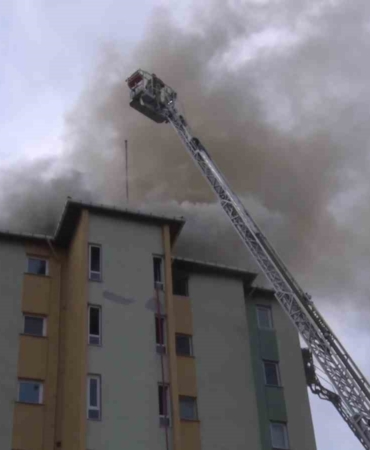 Ataşehir’de site içinde yangın: Sakat köpek mahsur kaldı