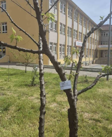 Edirne İlhami Ertem Anadolu Lisesi öğrencilerinden anlamlı etkinlik