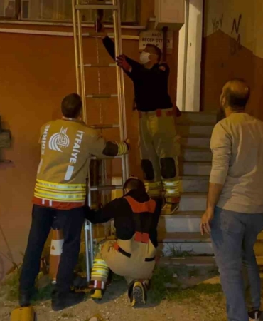 Apartmandan gelen kötü koku acı gerçeği ortaya çıkardı